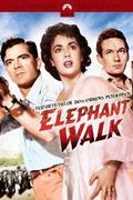 Elefántjárat (Elephant Walk)