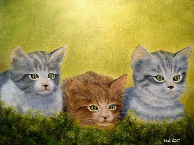 Festmények - Három cica