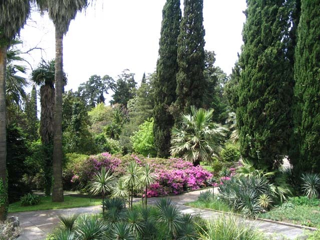bahai gardens -haifa