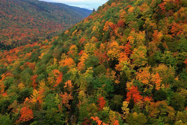 Az ősz káprázatos színei