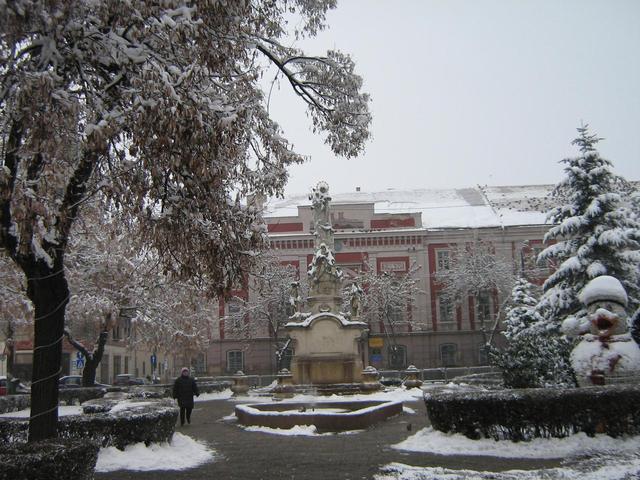 Temesvár 2011.01.01 - A régi Városháza  a Nepomuk szoborral.