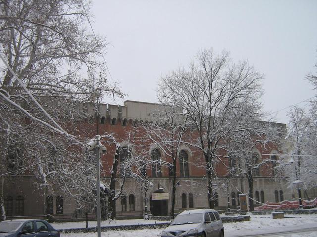 Temesvár 2011.01.01 - Jelenleg a városi Muzeum.