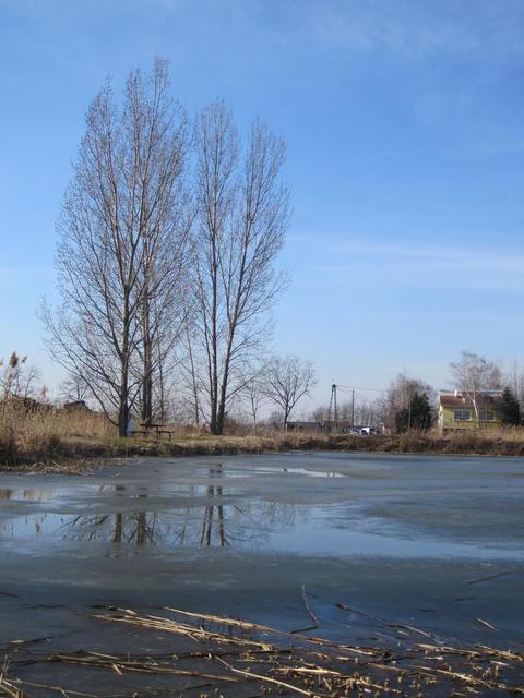 A Nagy-tó télen