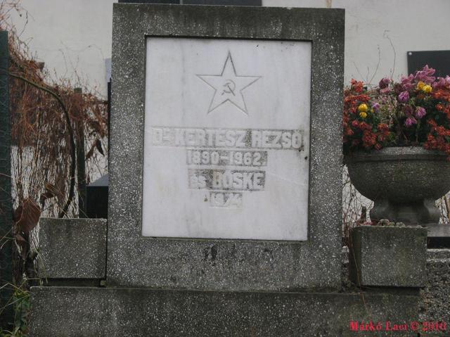 Kolozsvári Házsongárdi temető - 2010 december 2.