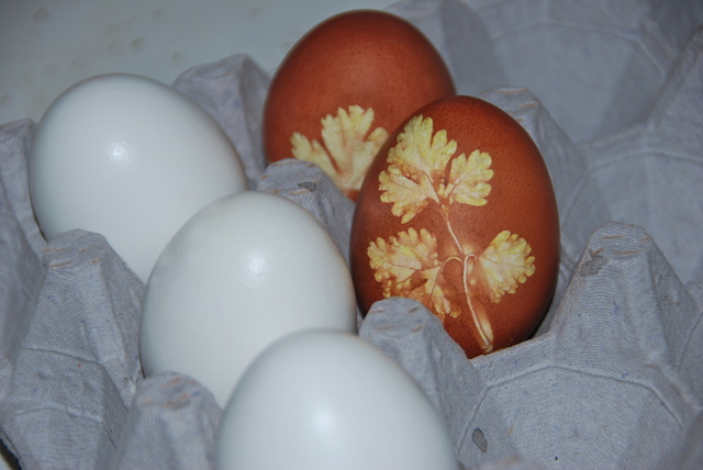 Husvét hétvége 2011 (tojásfestési buli és húsvéti ebéd)