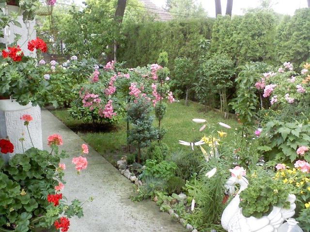 képek - Az én kertem