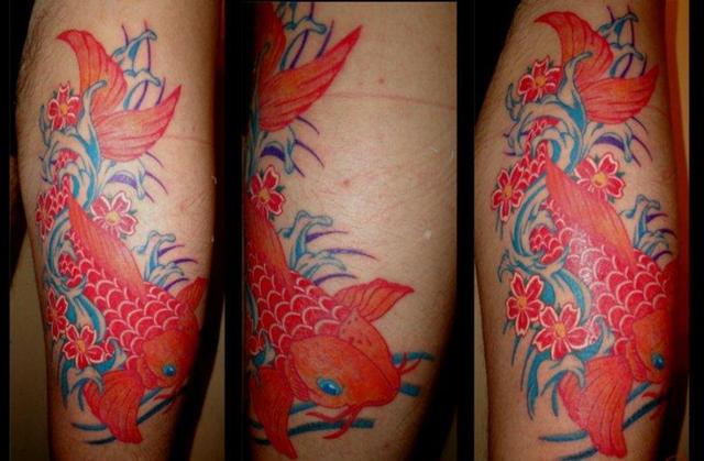 tetovalasaim - koi fish tattoo