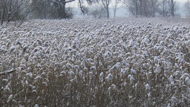 Tél 2012, Dunakeszi