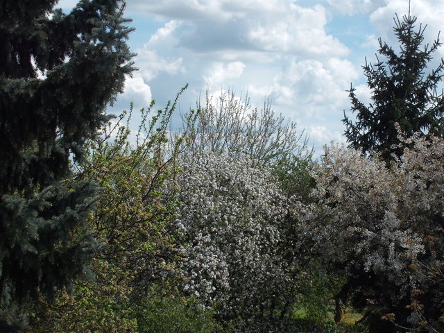 A tavasz képei