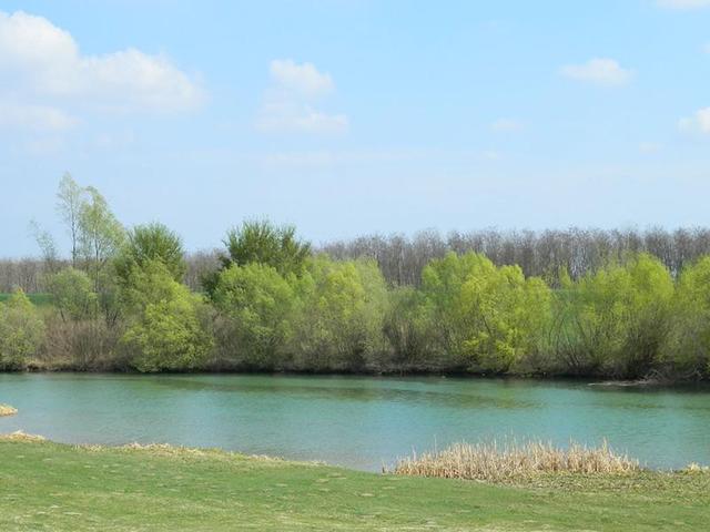 Körösök Völgye bringatúra - 2012. április - már zöldbe borult a folyópart...