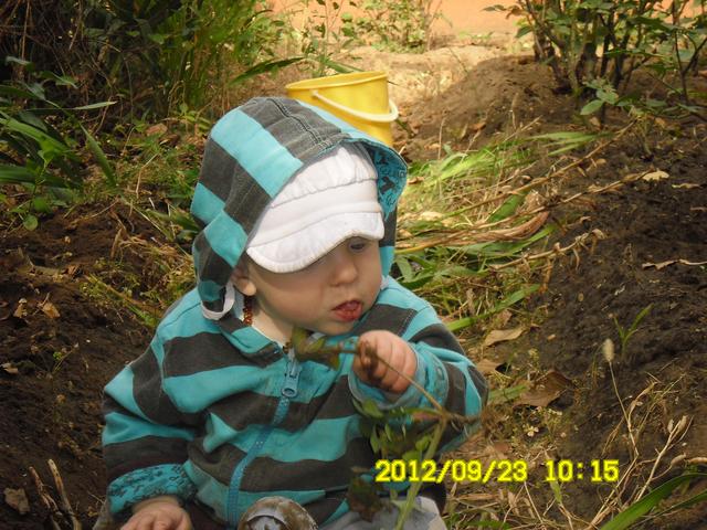 kisfiam:) - kertészkedés