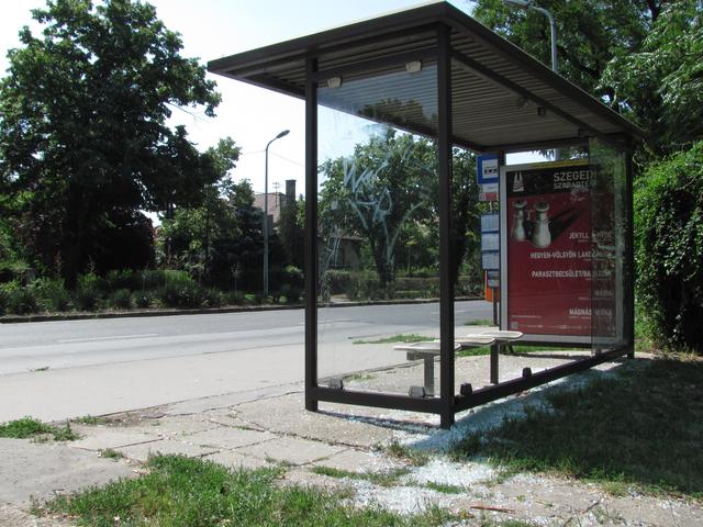 EZ IS BUDAPEST ! - erő fitogtatás a busz megállóban