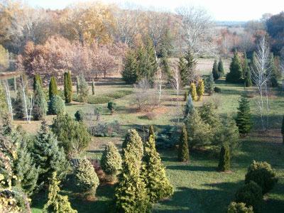 Magyarország Arborétumai közül az egyik Püspökladány Farkassziget.