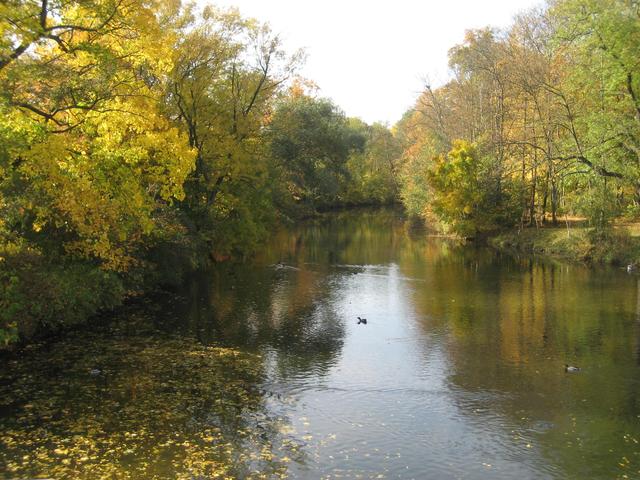 Az ösz aranya - Erfurt a Luisen- királynö parkja - A Gera folyócska
