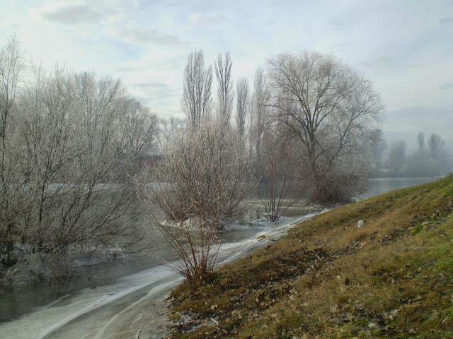 2012 Tél