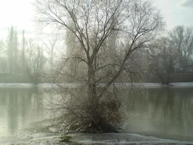2012 Tél