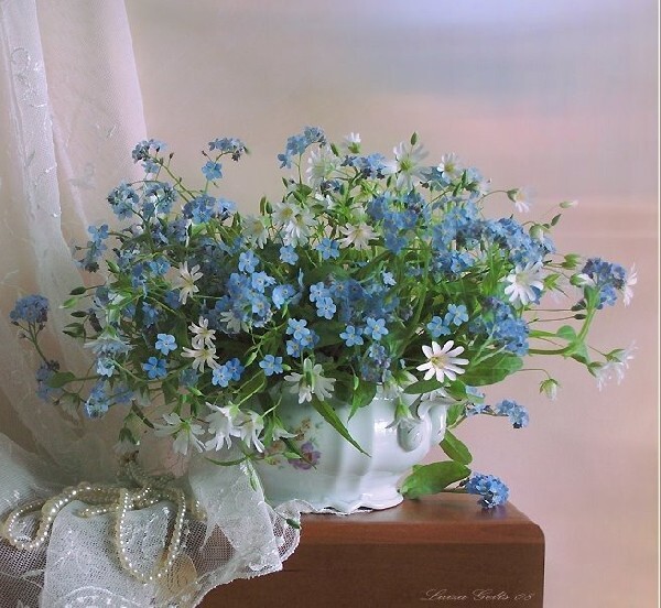 Kék Virágaim
