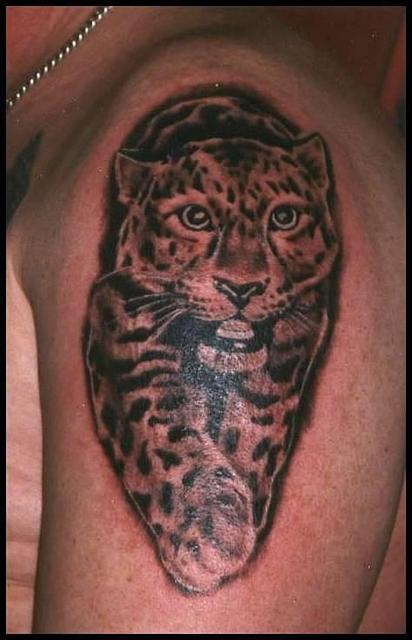 Saját tetoválások - Baka Péter: Leopárd